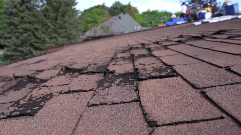 Fast & Reliable Emergency Roof Repairs in Spanish Fork, UT